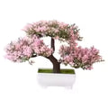 Free Gift: Decorative Plant